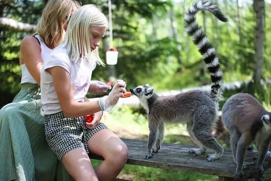 Tangen Zoo