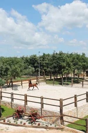 Konjicki klub Jakici Horse Riding