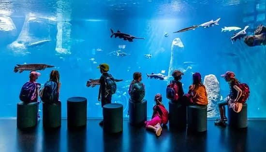 AQUATIS Aquarium Vivarium Lausanne