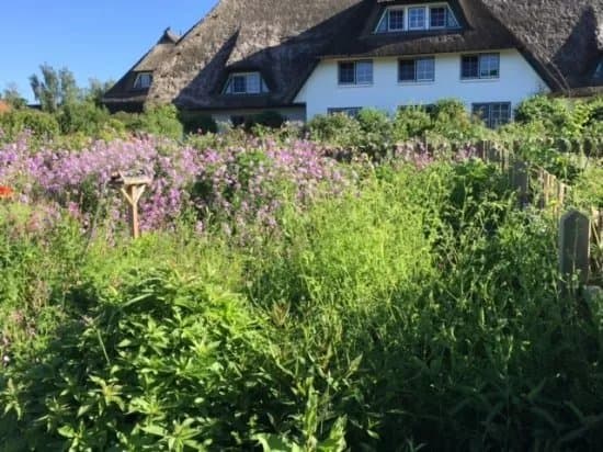 Hotel Haferland