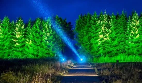 Woodland Experiences Limited