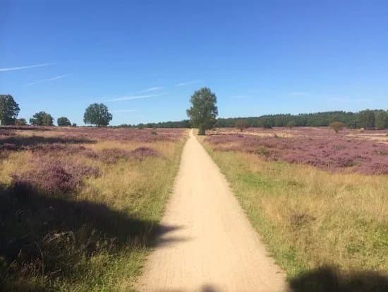 Hoorneboegse Heide