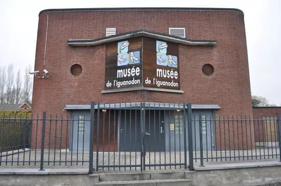 Museum of the Iguanodon