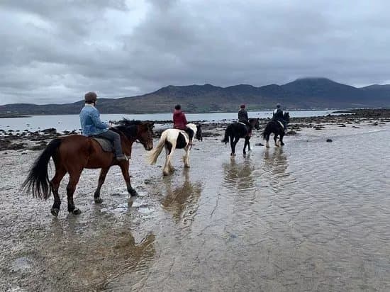 Carrowholly Stables & Trekking Centre