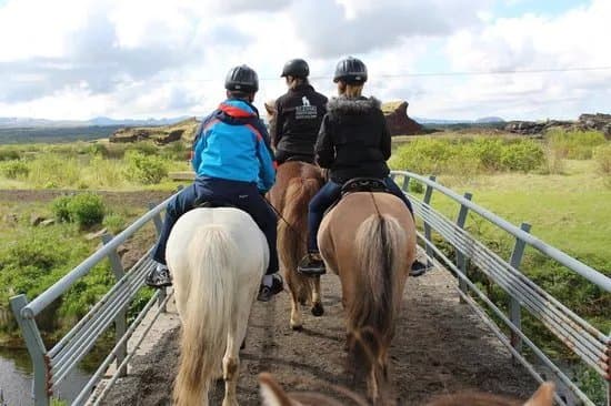 Islenski Reidhesturinn - The Icelandic Horse