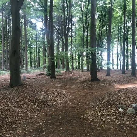 Parks & Nature