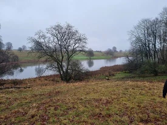 Kungsmarken