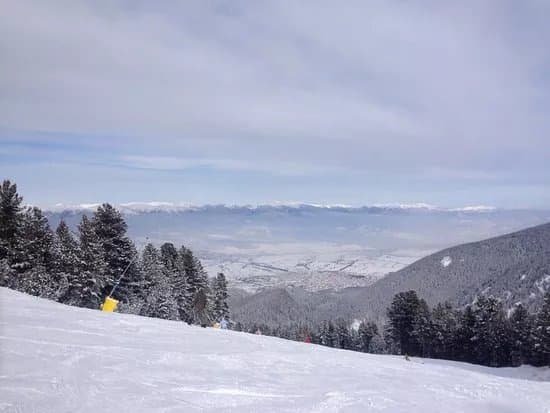 Method Snow School