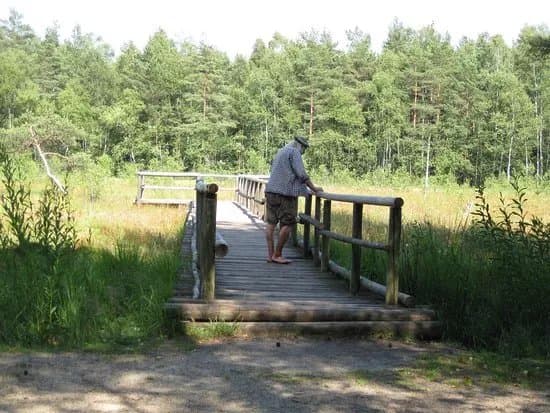 Naturpark Heidereichsteiner Moor