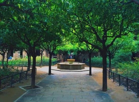 Jardins de Rubio i Lluch