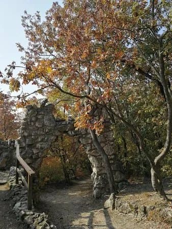 Arpad lookout
