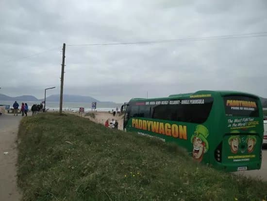 Paddywagon Day Tours