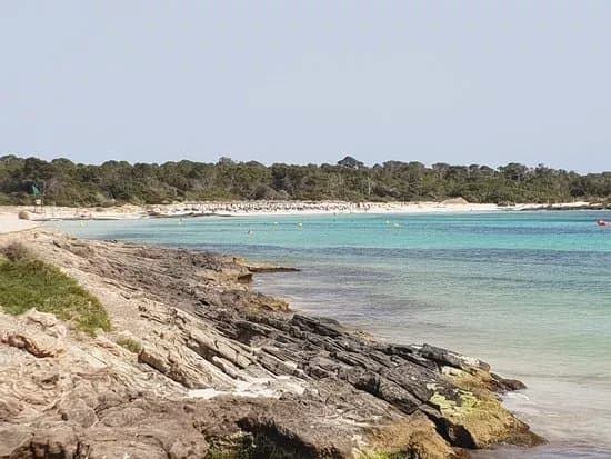 Platja D'es Carbo