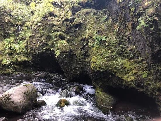 Nauthusagil Waterfall