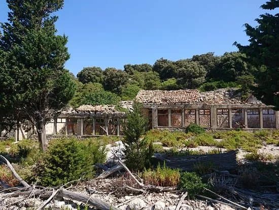 Otok Sveti Grgur