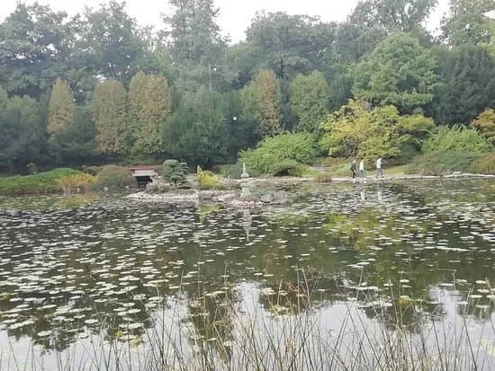 Japanese Garden - Szczytnicki Park