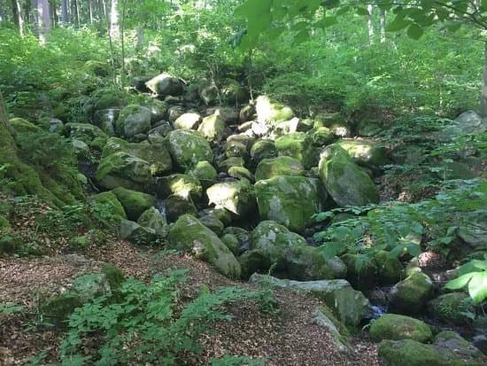 The Marianske Lazne Geological Park