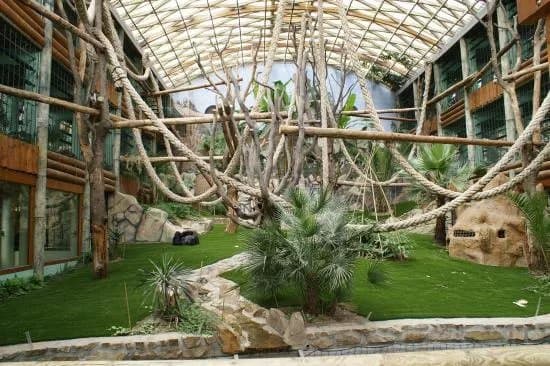 Espace Zoologique de Saint Martin la Plaine