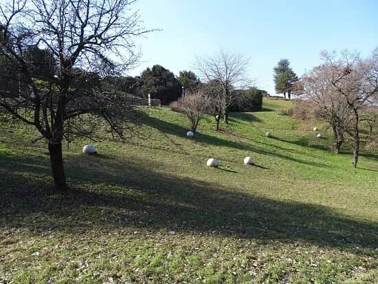 Nelson Mandela Park