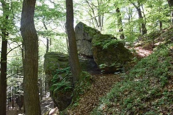 Kamien Michniowski nature reserve