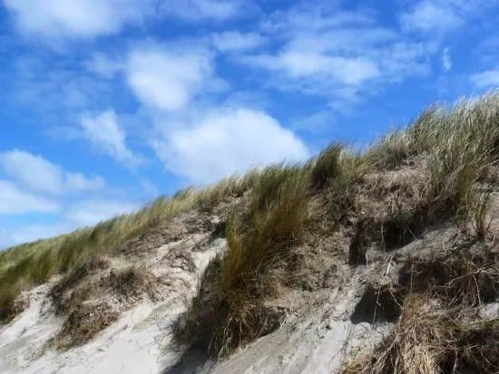 Plage de Zuydcoote