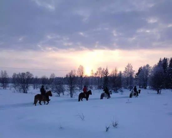 Nurminiemen ratsutila/riding stables