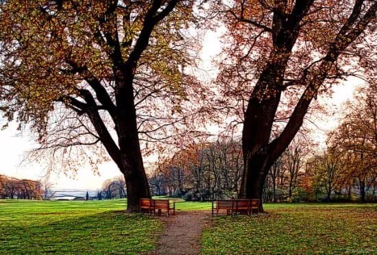 Jenischpark