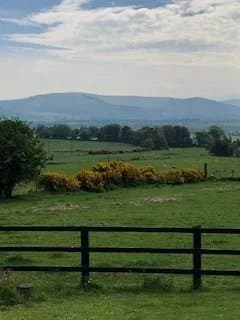 The Laurels Bed and Breakfast