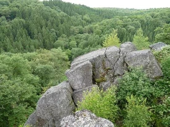 Reserve Naturelle de la Roche a l'Appel