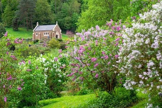 Jardin Botanique Jean-Marie Pelt