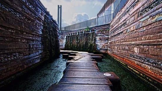Der Wassergarten