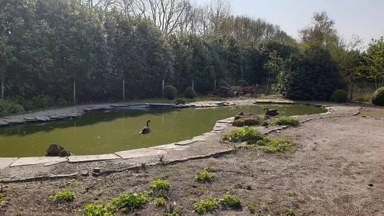 Vogel en pluimvee park de Lorkeershoeve
