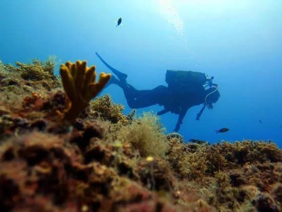 Diving Club Peoples