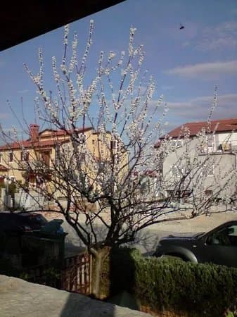 Istrian Assembly Hall