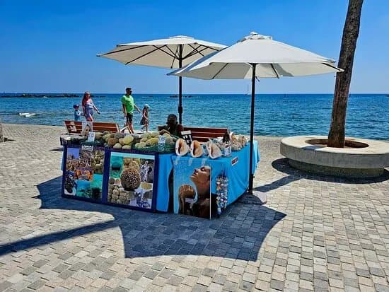 Paphos Promenade