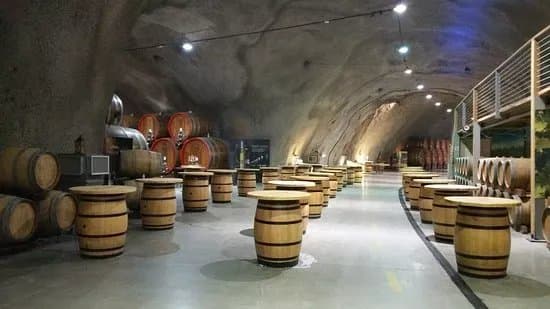 Wine Cellar 13.Jul Plantaze