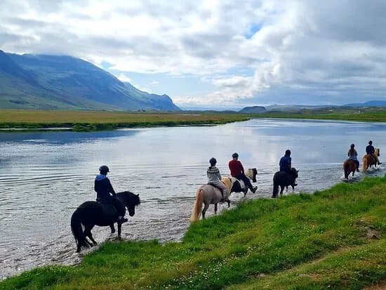 Galsi Horse Rental