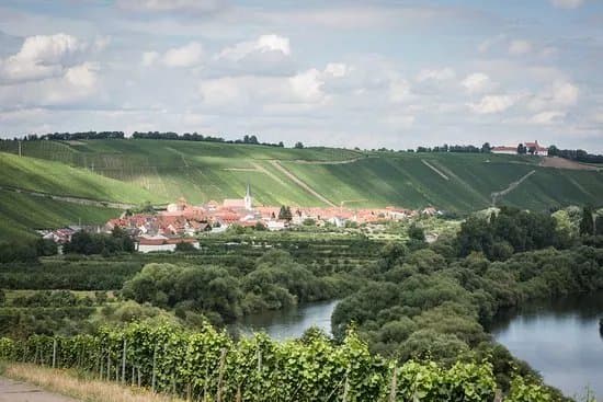 Weingut Michael Froehlich