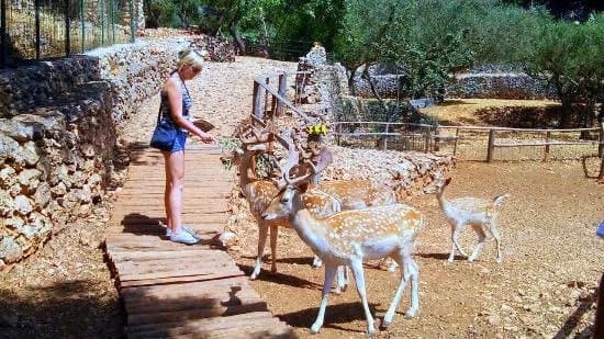 Askos Stone Park