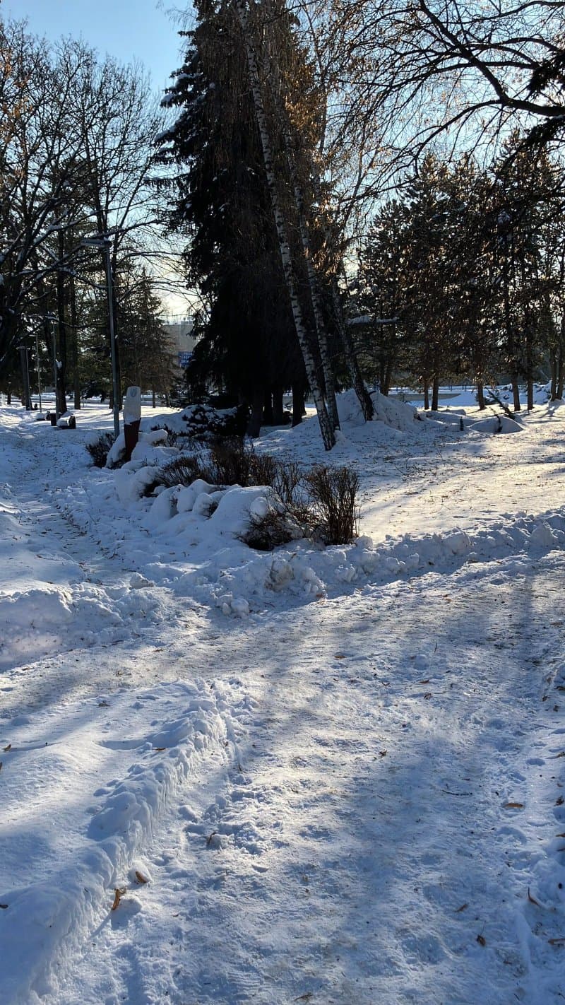 Martin-Razus-Park