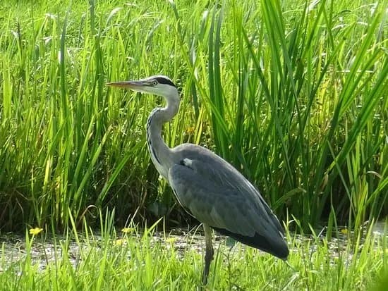 Wandelroute Heerlijkheid Beek