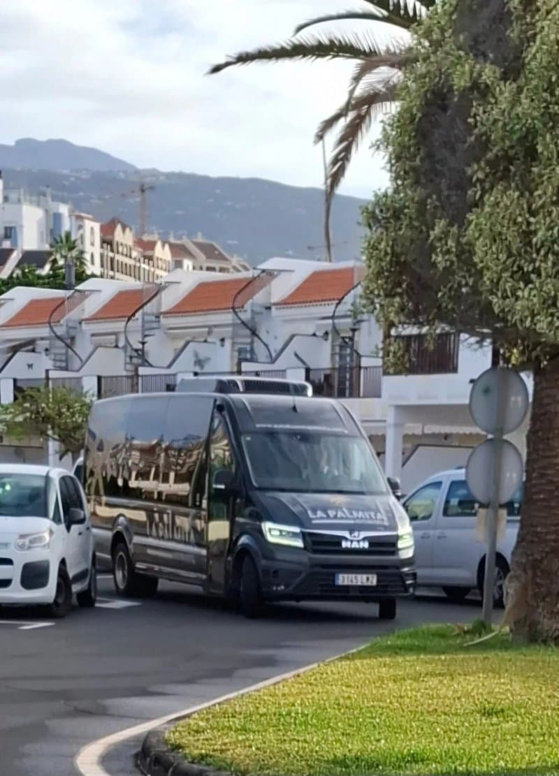 Viva Transfers