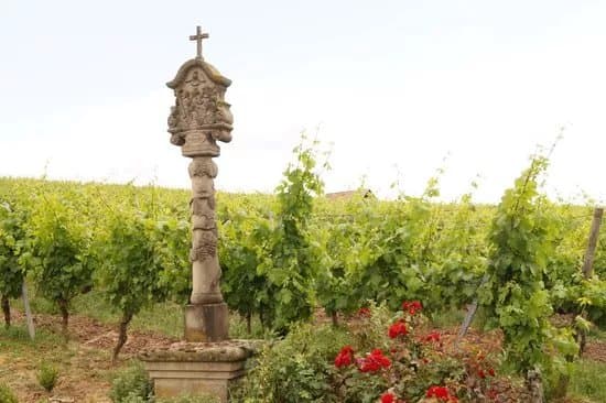 Weingut & Winzerhof Emmerich