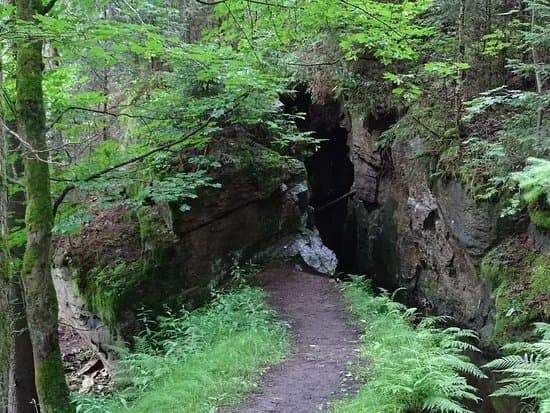 Gruner Graben