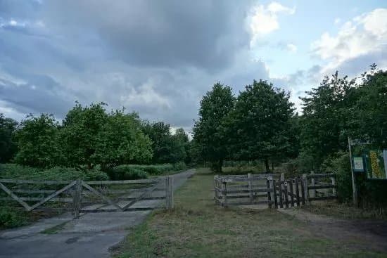 Heidebos
