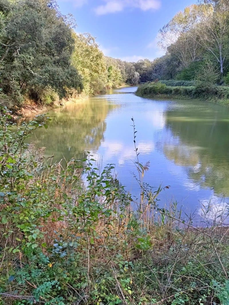 Lago Linaglia