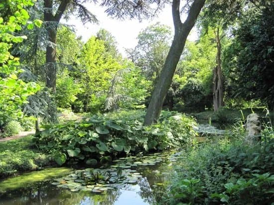 Park Schoonoord