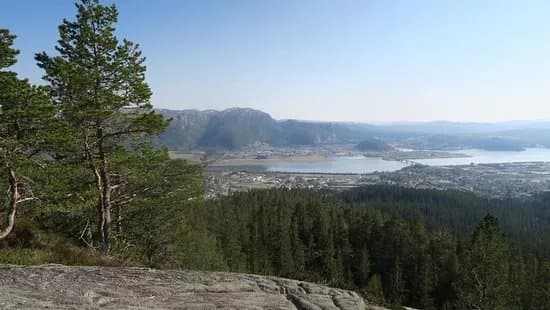 Svartfjellet
