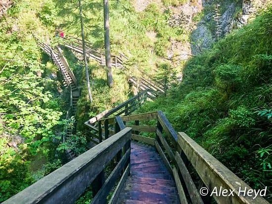 Vorderkaserklamm