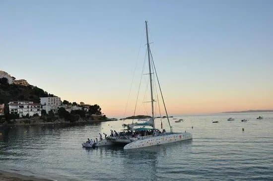 Magic Catamarans